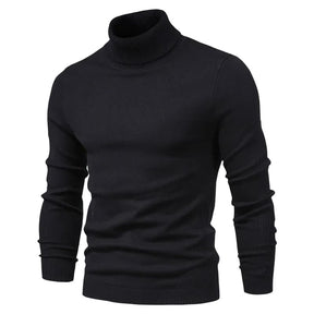 Suéter Masculino Gola Alta Viena