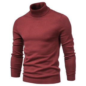 Suéter Masculino Gola Alta Viena