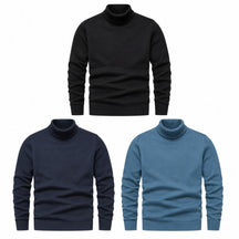 Suéter Masculino Gola Alta Viena